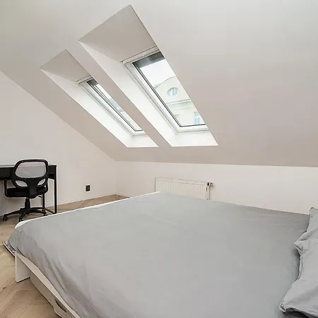 Big 4-bedroom Flat, Terrace With Great Vitkov View Daire Prag