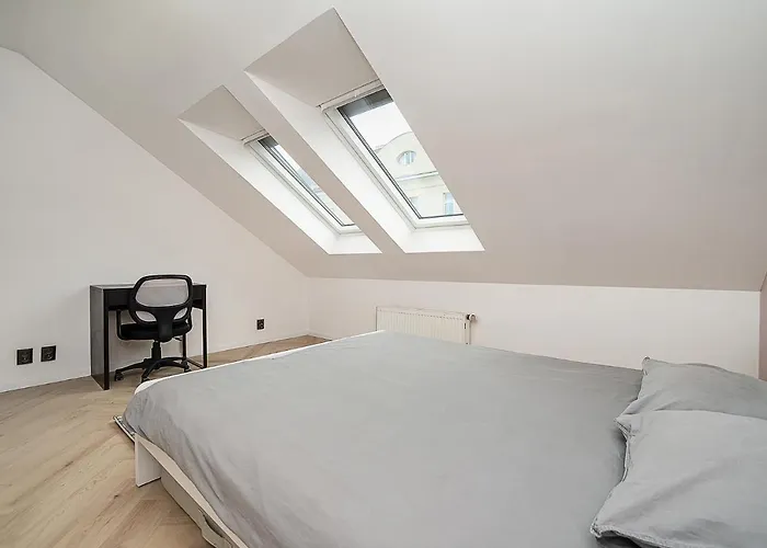 Big 4-bedroom Flat, Terrace With Great Vitkov View Apartmán Praha