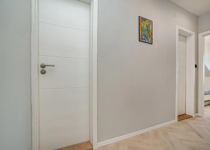 Big 4-bedroom Flat, Terrace With Great Vitkov View *