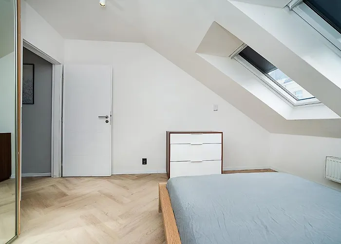 Big 4-bedroom Flat, Terrace With Great Vitkov View * Praha