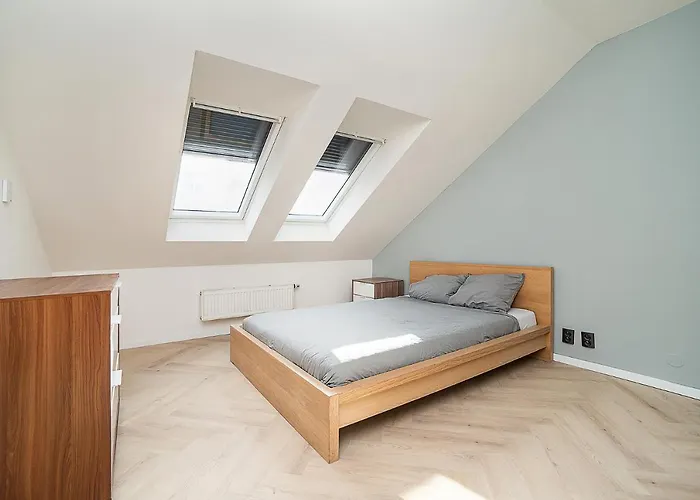 Big 4-bedroom Flat, Terrace With Great Vitkov View Apartmán