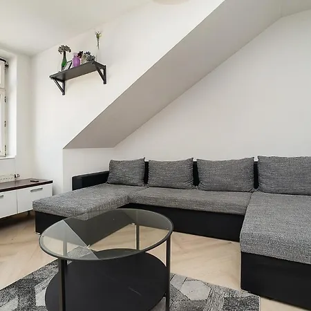 Big 4-bedroom Flat, Terrace With Great Vitkov View דירה