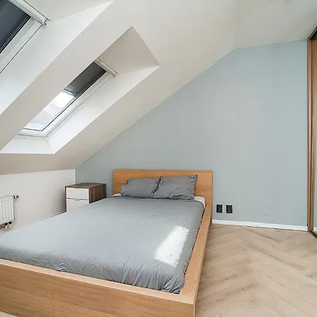 דירה Big 4-bedroom Flat, Terrace With Great Vitkov View פראג