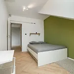 Big 4-bedroom Flat, Terrace With Great Vitkov View