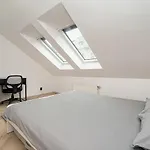 Big 4-bedroom Flat, Terrace With Great Vitkov View Διαμέρισμα Πράγα