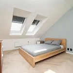 Big 4-bedroom Flat, Terrace With Great Vitkov View Διαμέρισμα