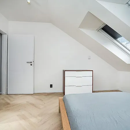 Big 4-bedroom Flat, Terrace With Great Vitkov View * Prag