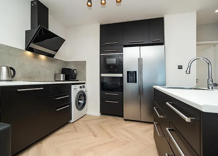 Big 4-bedroom Flat, Terrace With Great Vitkov View Prag