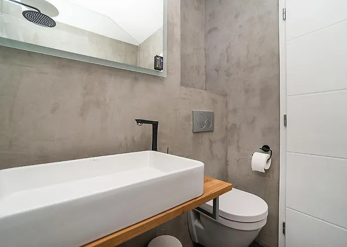 Big 4-bedroom Flat, Terrace With Great Vitkov View * Prag
